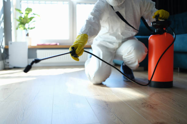 Trusted Sewage Cleanup service in Gowen, MI - Four Month Blood Cleanse